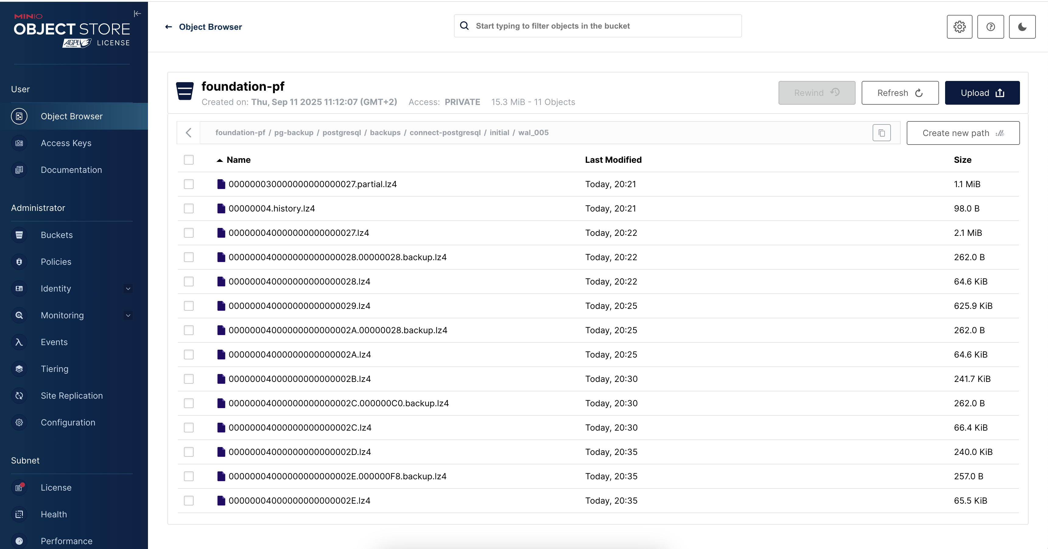 MinIO PostgreSQL WAL-G backup